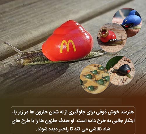 عکس نوشته های دانستنی؛ از باد شکم تا لاک 3 بعدی لاک پشت!