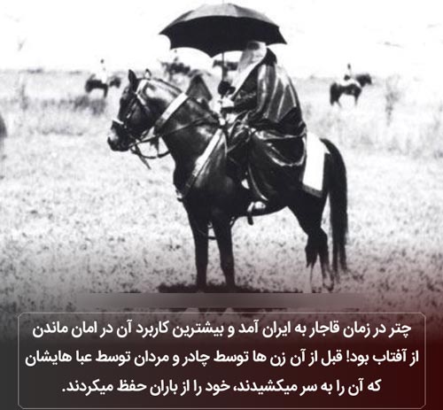 عکس نوشته های دانستنی؛ از باد شکم تا لاک 3 بعدی لاک پشت!