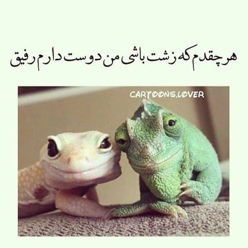 عکس پروفایل اینستاگرام/ متن های خاص و زیبا ویژه اینستا