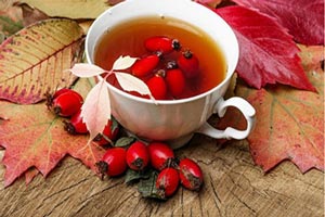 فواید گل نسترین چیست؟ درختچه کوچک خوش عطر فواید گل نسترین چیست؟ درختچه کوچک خوش عطر