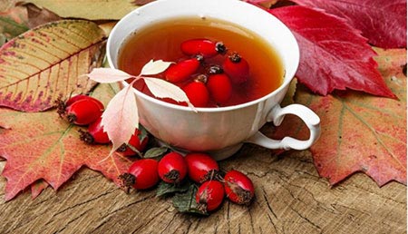 فواید گل نسترین چیست؟ درختچه کوچک خوش عطر