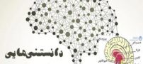 کالبد شناسی مغز | دانستنی های مغز انسان تحقیق علوم