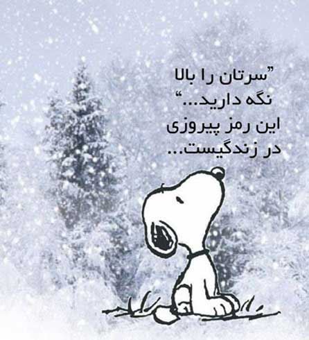 جدیدترین عکس نوشته های زیبا ویژه استوری و پروفایل | ادبی و آموزنده