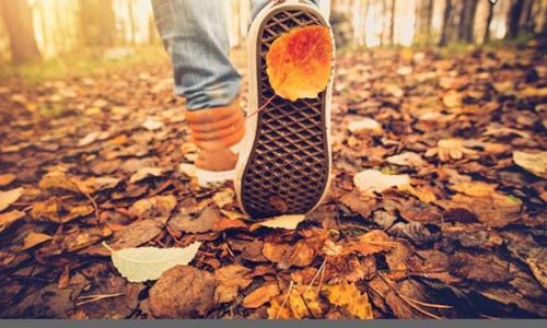 عجیب و جالب ترین تغییراتی که در فصل پاییز رخ می دهد
