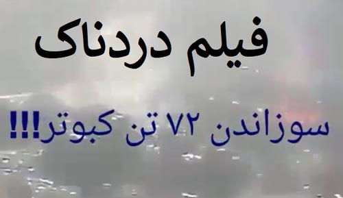 فیلم جنجالی سوزاندن 72 کبوتر زنده در مراسم عزاداری محرم