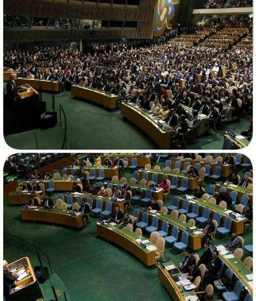 پر بازدیدترین فن پیج های بازیگران و چهره های مشهور کشور 301