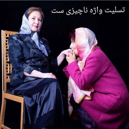 پر بازدیدترین فن پیج های بازیگران و چهره های مشهور کشور 301