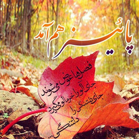عکس نوشته های عاشقانه پاییزی | بغض های سنگین انتظار