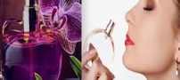 تعبیر خواب بوهای خوش/ اسپری کردن عطر و ادکلن / هدیه دادن و گرفتن