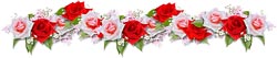 خبرهای داغ ایران؛ از خواستگاری پای اعدام تا خونگیری مشکوک از دختران