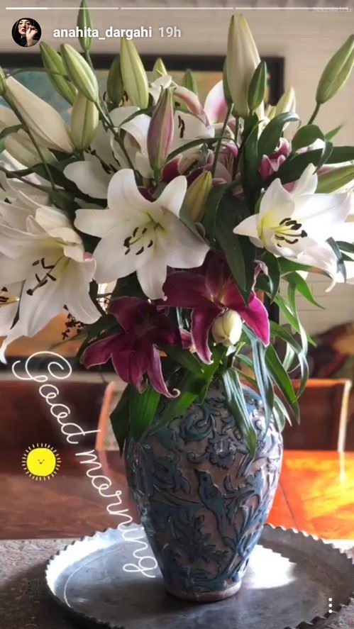 تصاویر پست های دیدنی بازیگران و چهره ها در پاییز (133)