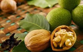 بهترین غذاها و تنقلات در هوای سرد