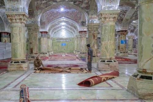 تصاویر بی نظیر ساخت صحن حضرت زهرا در نجف توسط ایرانیان