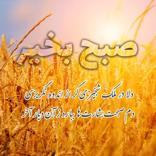 صبح بخیرهای عاشقانه پاییزی استوری و پروفایل/ عکس نوشته