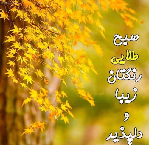 صبح بخیرهای عاشقانه پاییزی استوری و پروفایل/ عکس نوشته