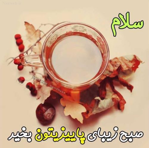 صبح بخیرهای عاشقانه پاییزی استوری و پروفایل/ عکس نوشته