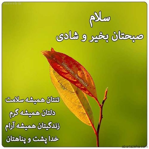 صبح بخیرهای عاشقانه پاییزی استوری و پروفایل/ عکس نوشته