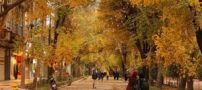 تصاویر زیباترین پاییز رویایی ایران در اصفهان / پاییز بکر wow