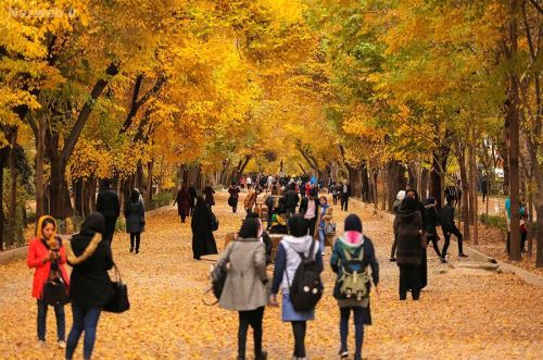 تصاویر زیباترین پاییز رویایی ایران در اصفهان / پاییز بکر wow