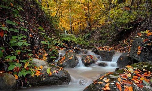تصاویر زیباترین پاییز رویایی ایران در اصفهان / پاییز بکر wow