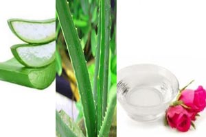 آلوئه ورا را چگونه در خانه بخوریم+ انواع ماسک آلوئه ورا