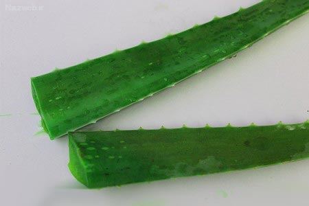 آلوئه ورا را چگونه در خانه بخوریم+ انواع ماسک آلوئه ورا