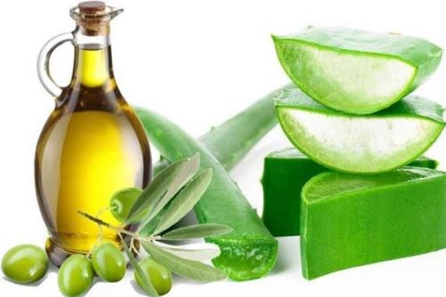 آلوئه ورا را چگونه در خانه بخوریم+ انواع ماسک آلوئه ورا