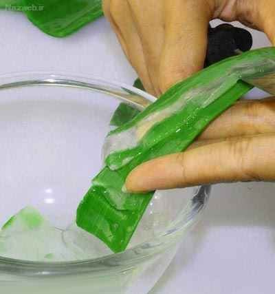 آلوئه ورا را چگونه در خانه بخوریم+ انواع ماسک آلوئه ورا