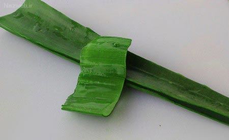 آلوئه ورا را چگونه در خانه بخوریم+ انواع ماسک آلوئه ورا