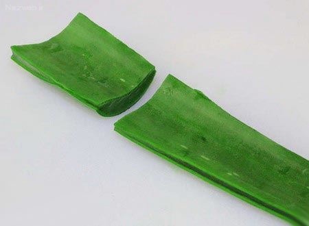 آلوئه ورا را چگونه در خانه بخوریم+ انواع ماسک آلوئه ورا