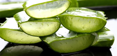 آلوئه ورا را چگونه در خانه بخوریم+ انواع ماسک آلوئه ورا