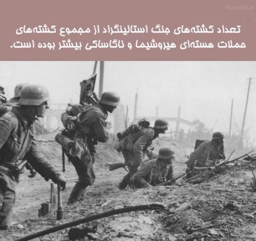 عکس نوشته های جالب دانستنی؛ از موی قرمز زنان تا جانوران موذی