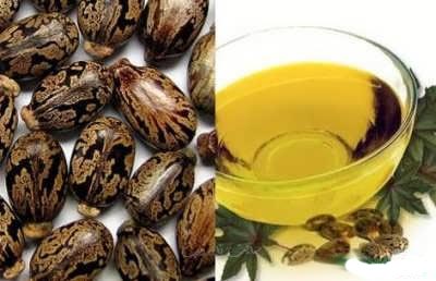 "بهترین روغن" برای رشد مو حتی افراد طاس+ دستور مصرف