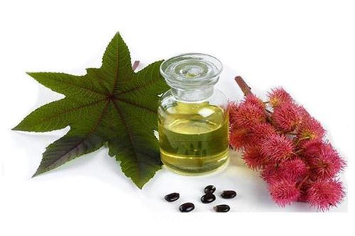 "بهترین روغن" برای رشد مو حتی افراد طاس+ دستور مصرف