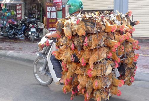 طنز نوشته و شوخی های فان و جالب شبکه های اجتماعی