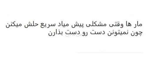 طنز نوشته و شوخی های فان و جالب شبکه های اجتماعی
