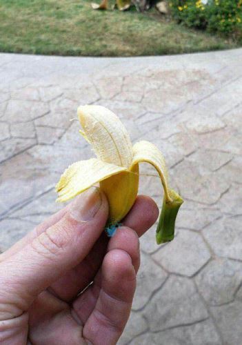 طنز نوشته و شوخی های فان و جالب شبکه های اجتماعی
