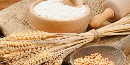 نشاسته چه خواصی دارد؟ راه جدید برای لاغری و کاهش وزن