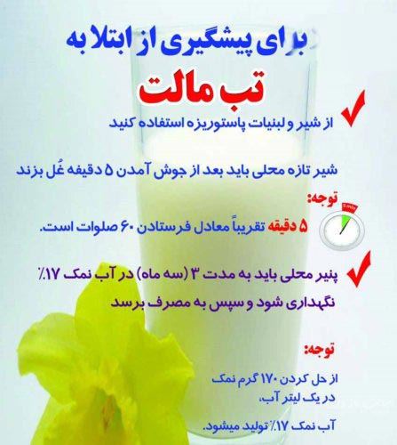 اینفوگرافی تب مالت+ علائم و درمان بیماری هزار چهره