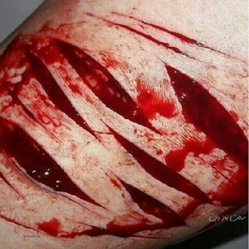 تصاویری که به زودی از اینستاگرام حذف می شود