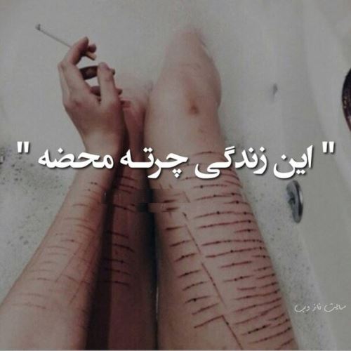 تصاویری که به زودی از اینستاگرام حذف می شود