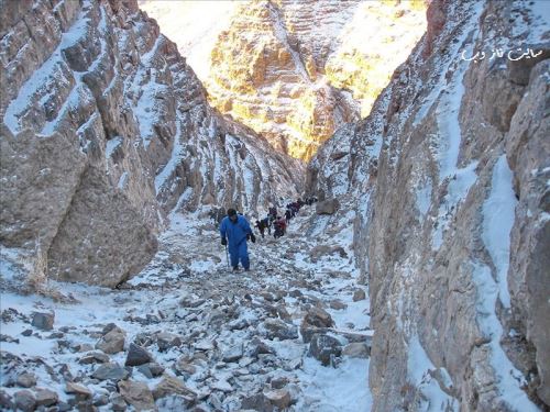 شیرکوه یزد؛ بکرترین گردشگری در دل طبیعت با تصاویر
