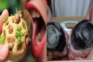 عجیب ترین غذاهایی که در انتظار ماست + تصاویر
