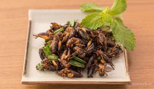 عجیب ترین غذاهایی که در انتظار ماست + تصاویر