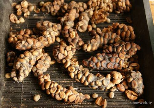 عجیب ترین غذاهایی که در انتظار ماست + تصاویر