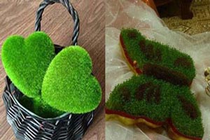 مدل، ایده و تزئین های سبزه مدل، ایده و تزئین های سبزه