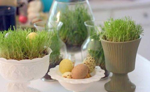 مدل، ایده و تزئین های سبزه
