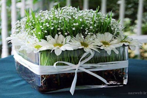 مدل، ایده و تزئین های سبزه