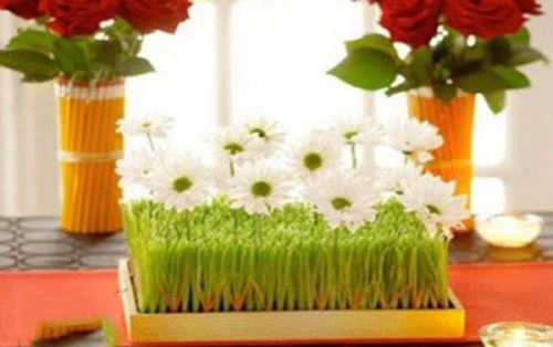مدل، ایده و تزئین های سبزه