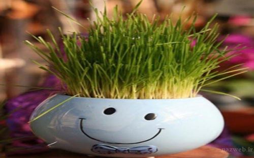مدل، ایده و تزئین های سبزه